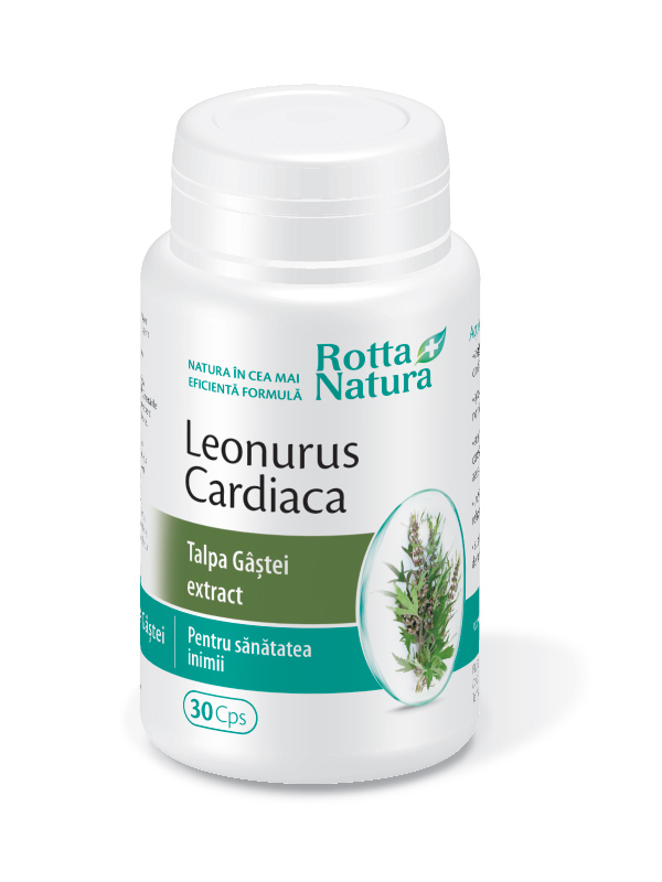 Leonurus Cardiaca forte (Talpa gâștei extract)